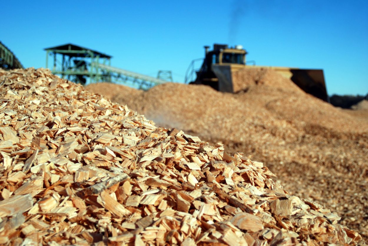 Woody Biomass