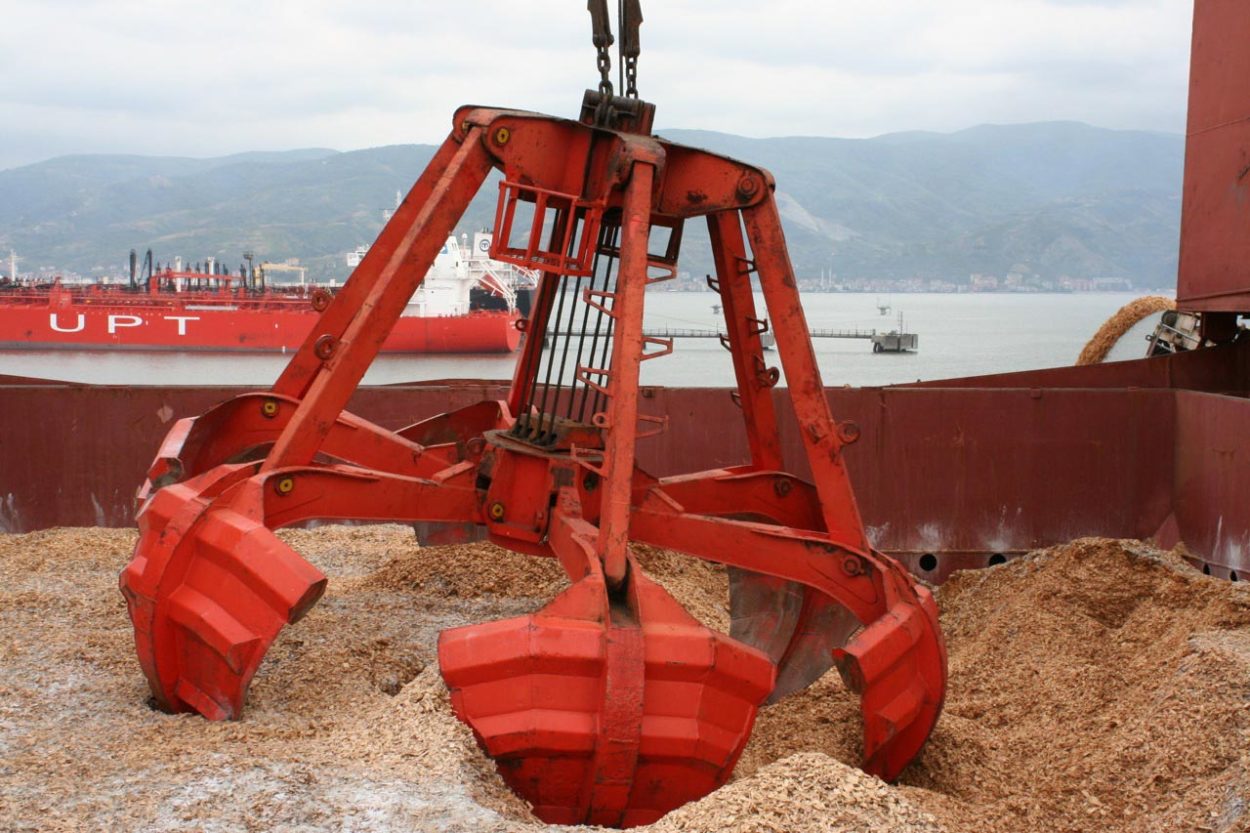 Biomass pile