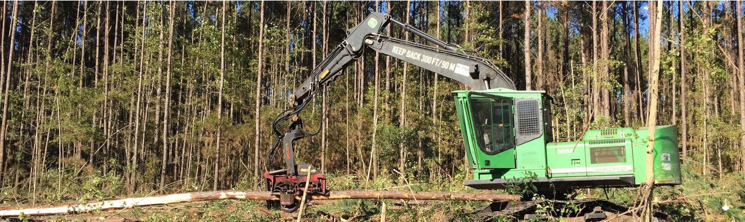 Sustainable forest