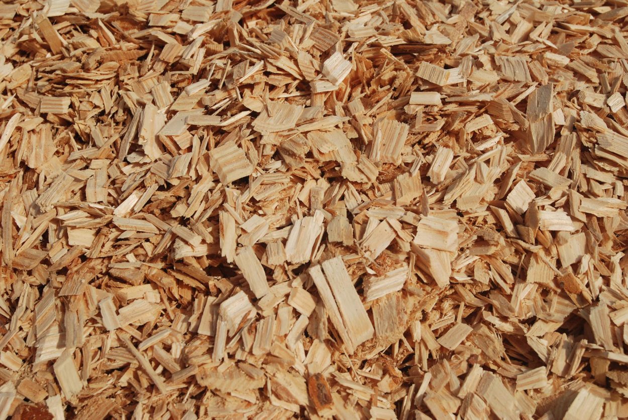 Pine wood chips